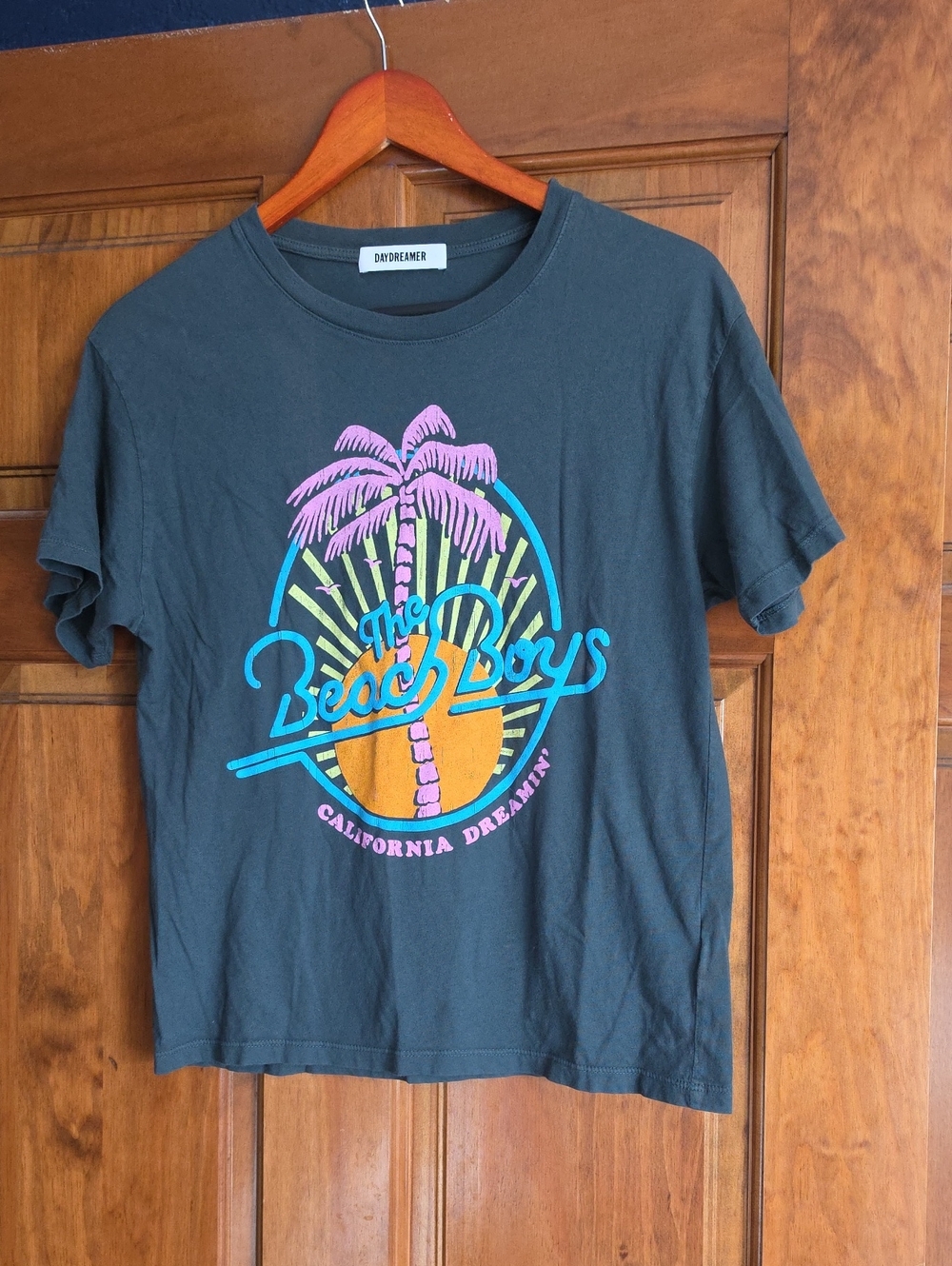 Daydreamer Beach Boys Graphic Tee - PtP Is 17.5